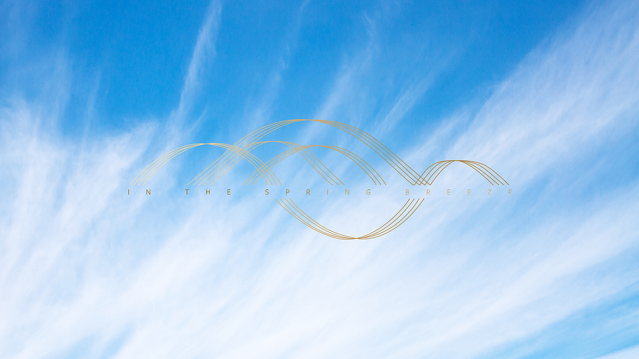 lOGO VI设计 地产提案 VI 保利·春风里