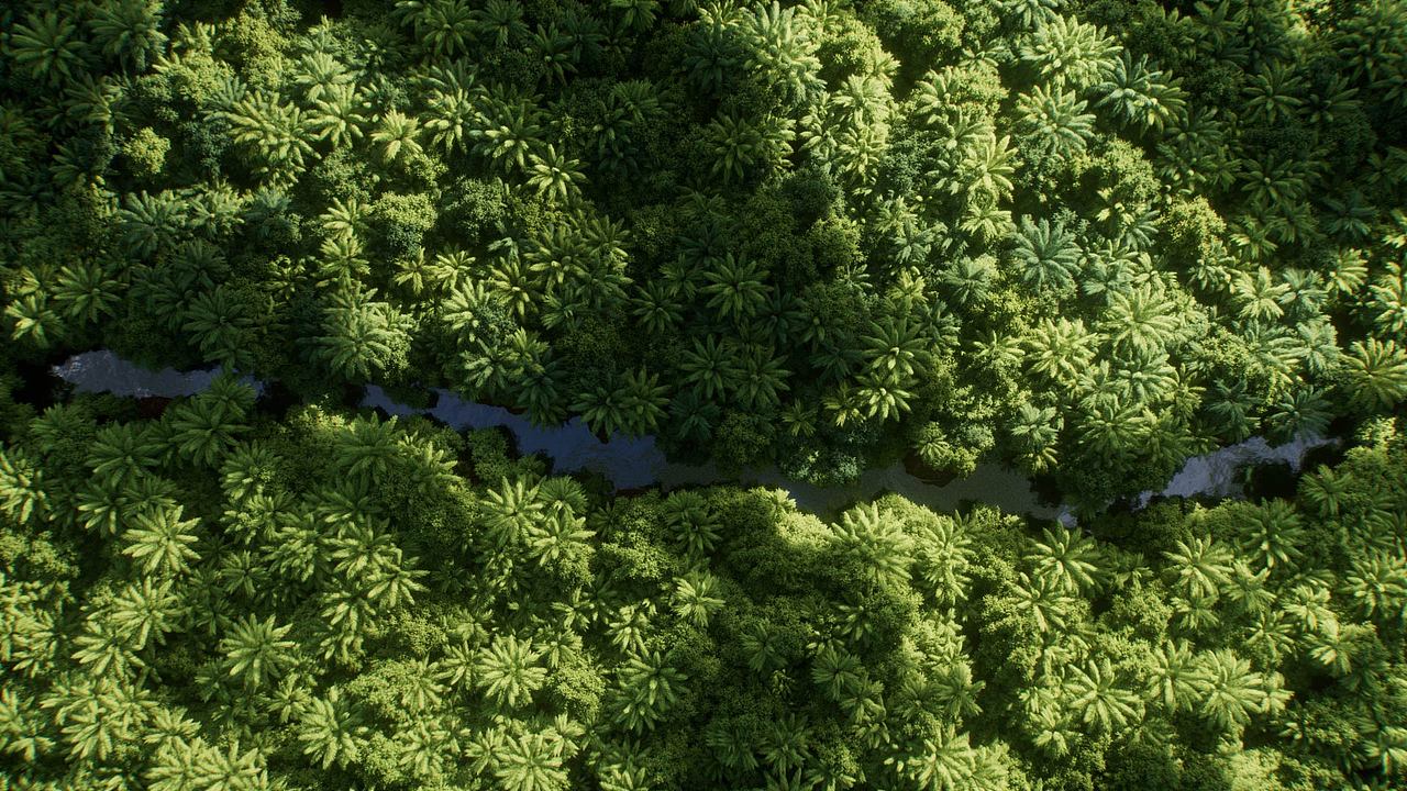 中文是如何被污染的（图ZMzY5NDM0NTE2） - 动画/影视 - 站酷设计师魏宇杰原创素材 - 站酷ZCOOL