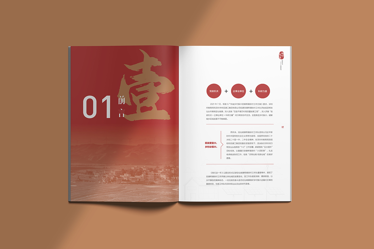 乡村振兴画册 宣传册 文化手册