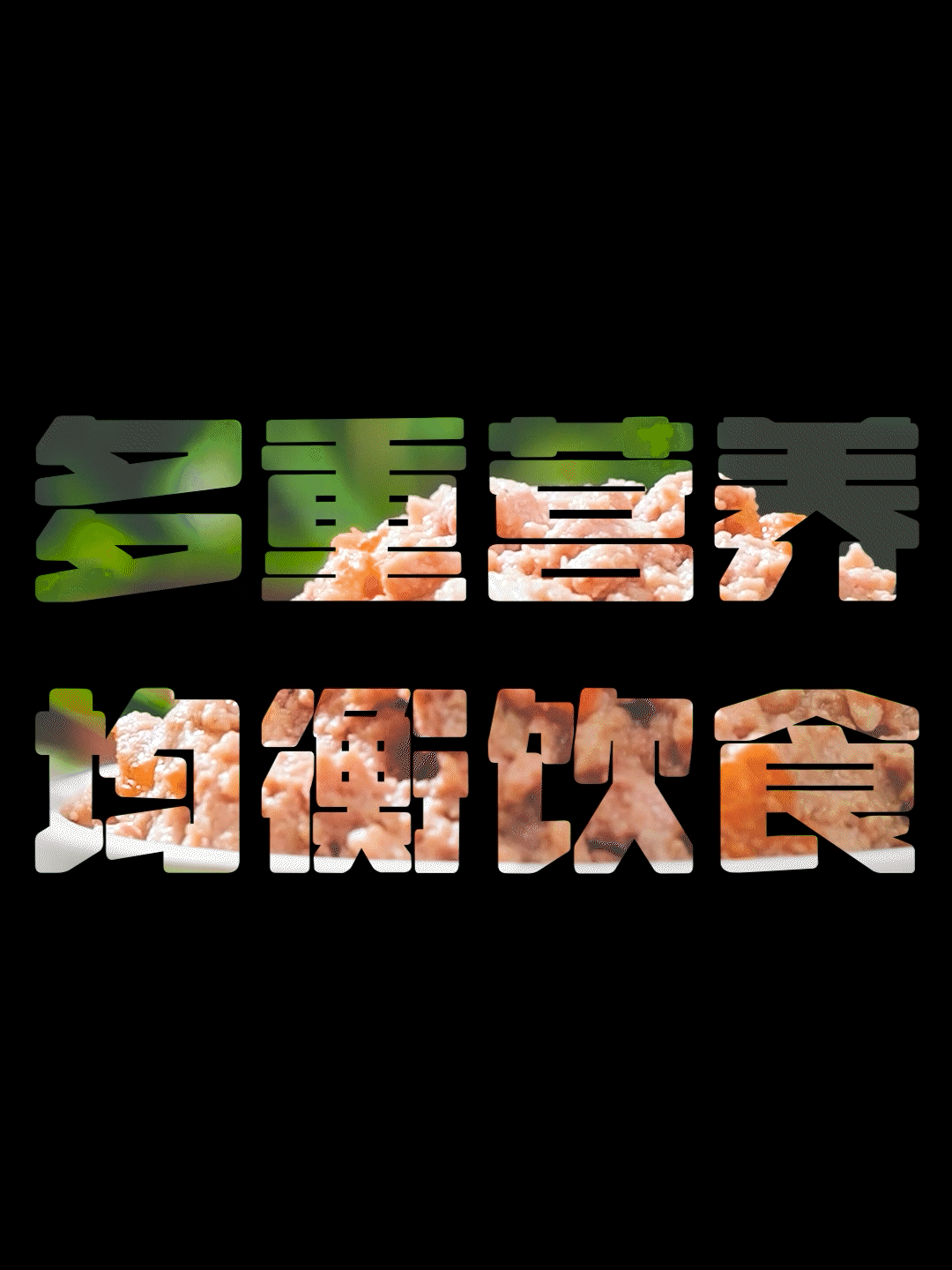 中宠顽皮原生力犬罐头竖版电商视频