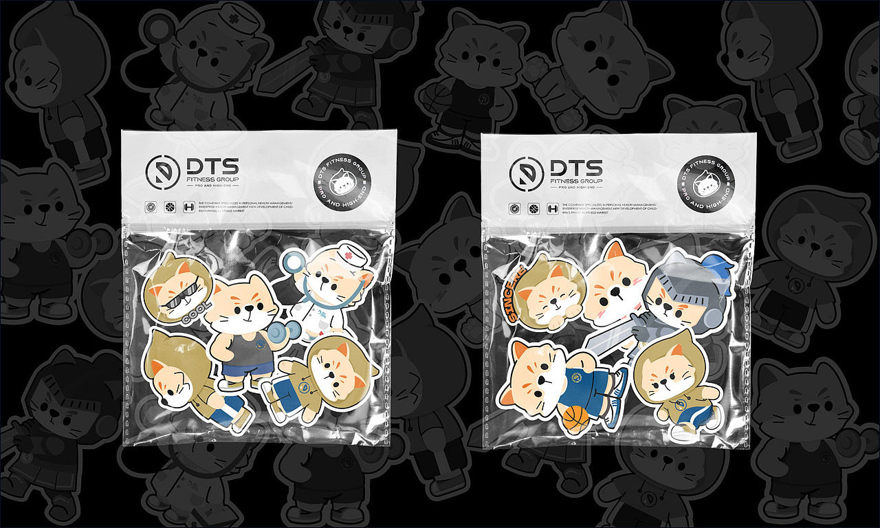 DTS | 澳門高端-兒童體能訓練品牌设计