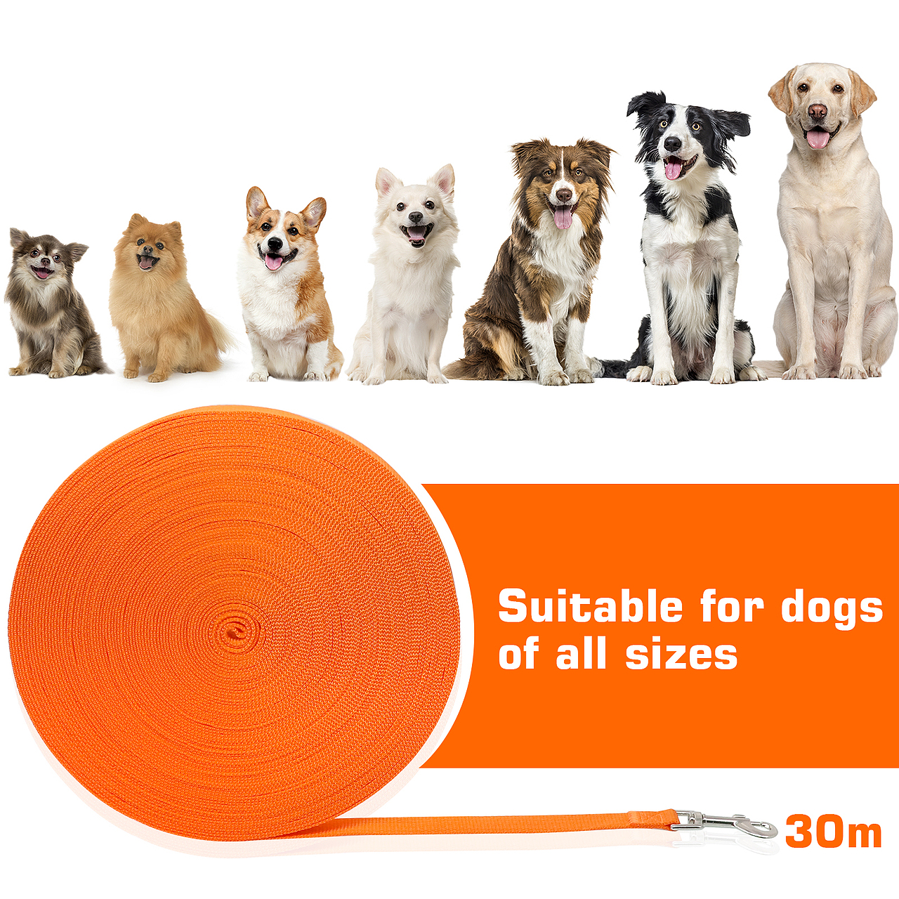 亚马逊产品-狗绳