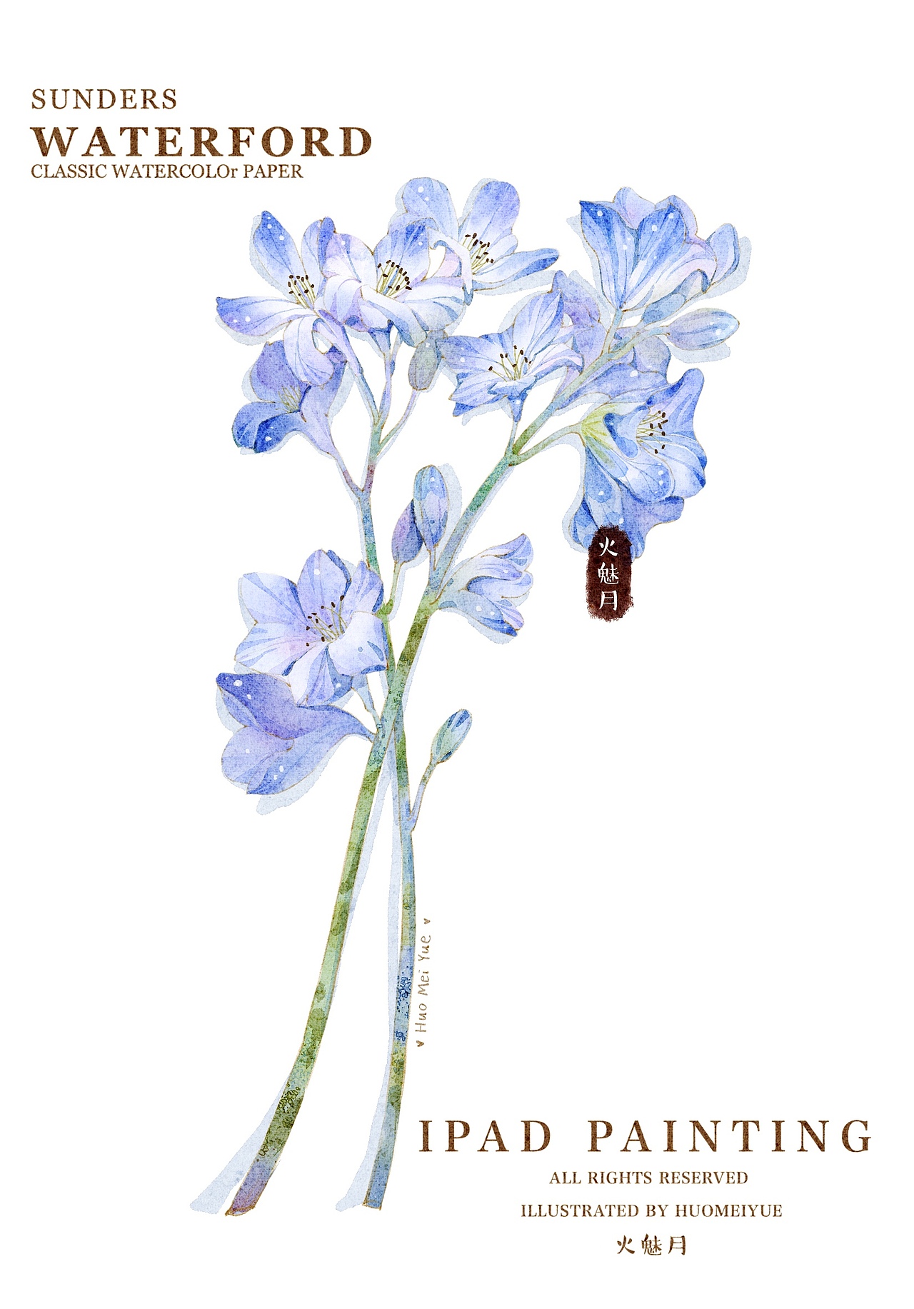 水彩花卉（图ZMzUzOTU4MjIw） - 商业插画 - 站酷设计师火魅月月原创素材 - 站酷ZCOOL