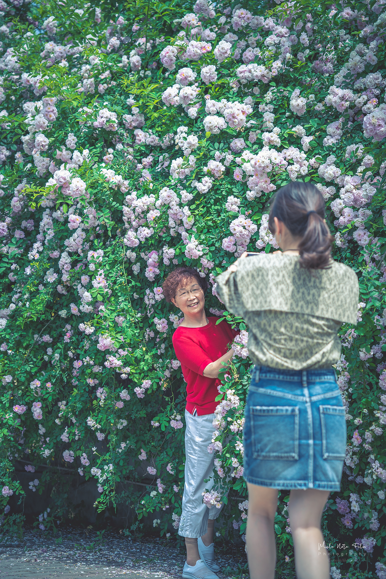 江油大康看个花（图ZMjk4OTQ0Mjc2） - 人文/纪实摄影 - 站酷设计师MN宇视觉原创素材 - 站酷ZCOOL