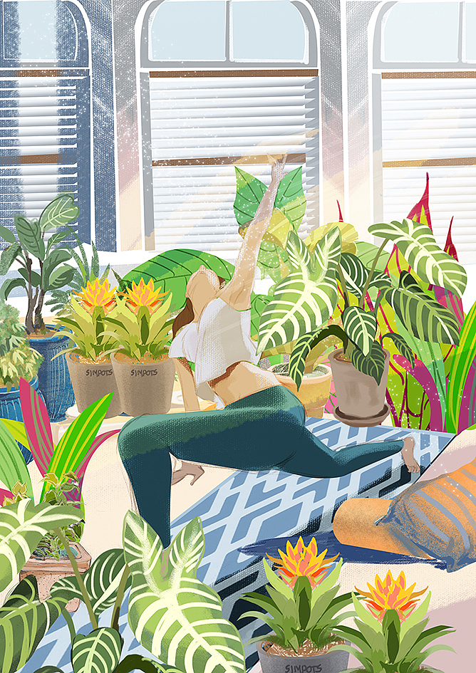 包装与插画(绿植、花卉)