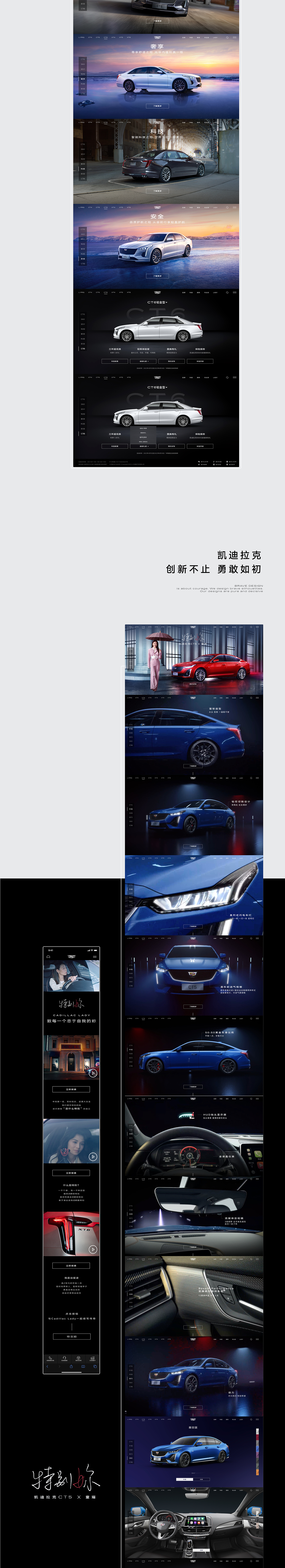 霸王龙Xx.2025作品集