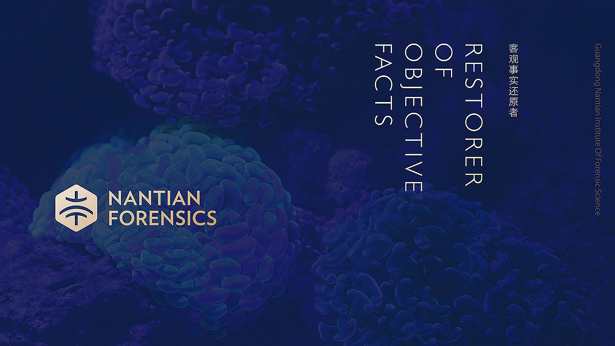 logo,设计公司,品牌设计,专业VI公司 | 南天司法鉴定所（图ZMzUxNTk5NjUy） - Logo - 站酷设计师尼高品牌设计原创素材 - 站酷ZCOOL