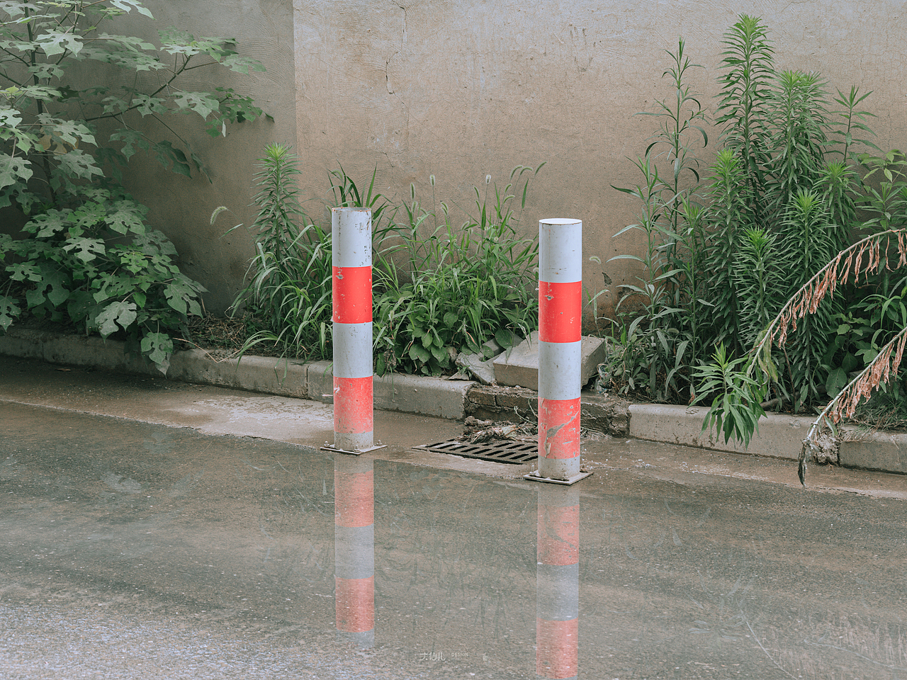 日常记录-我的城市