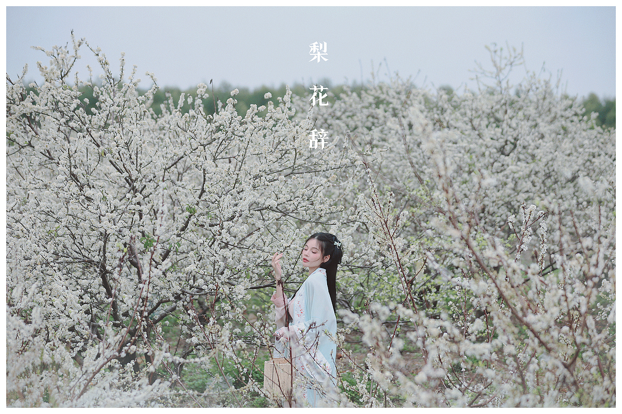 梨花辞（图ZMzMwMzA5ODUy） - 人像摄影 - 站酷设计师猫X叉原创素材 - 站酷ZCOOL