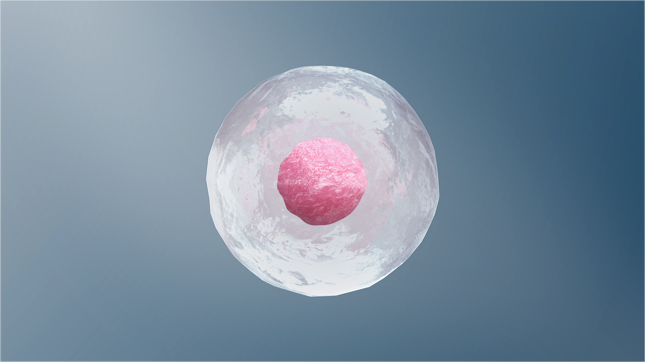 择捷美(舒格利单抗)