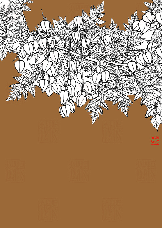 线描、插画、插图、花鸟
