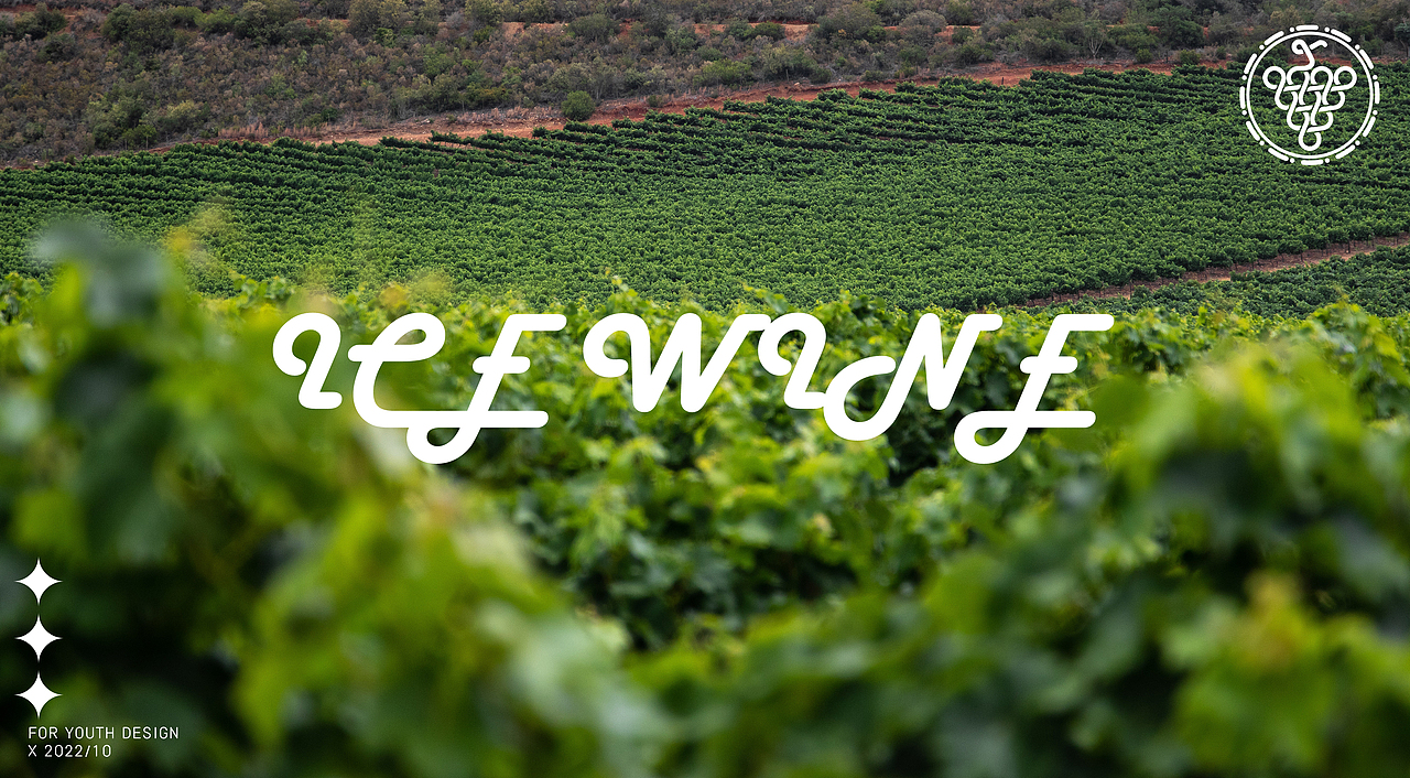 SAKEXON|冰酒包装设计