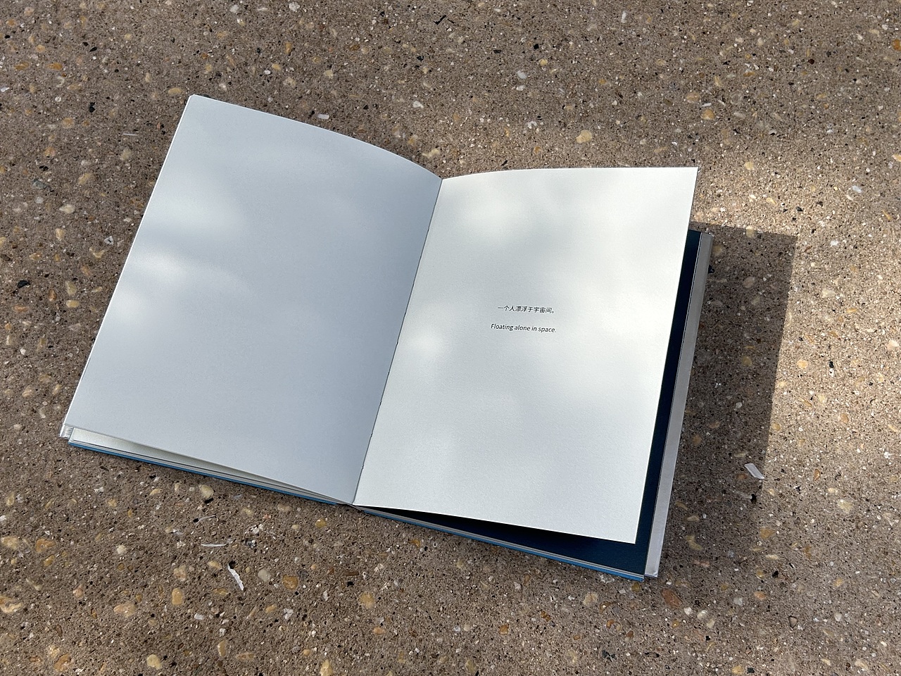 宇宙飞行士Sman艺术画集2023