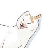 impBear的头像