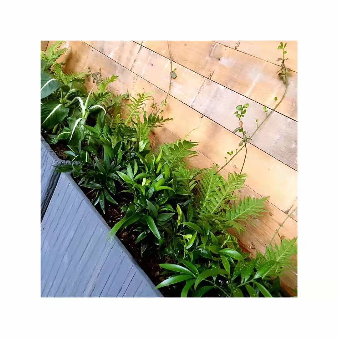 蚌埠天河湖绿色农庄 包厢造景（图ZMTg4ODI4NTEy） - 家装设计 - 站酷设计师素悉美学空间2原创素材 - 站酷ZCOOL