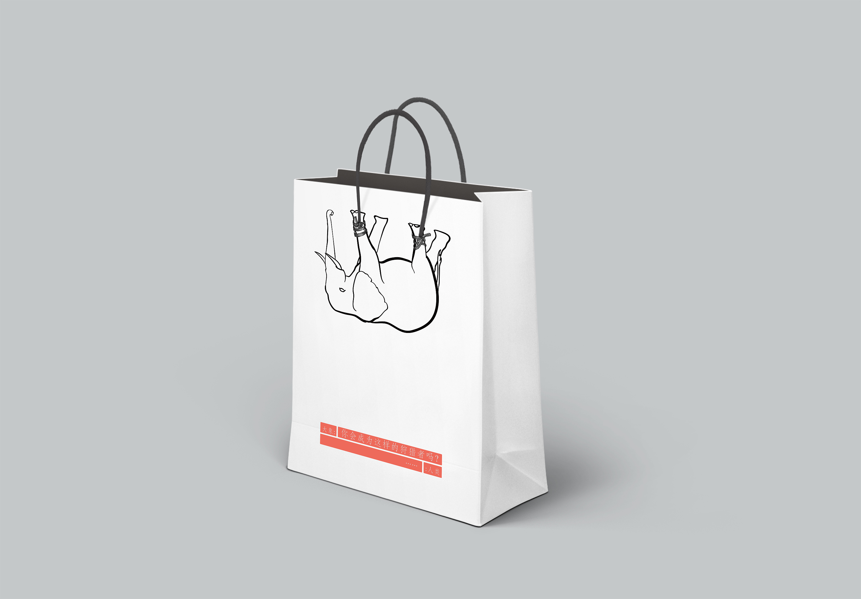 公益通用型手提袋(包装)