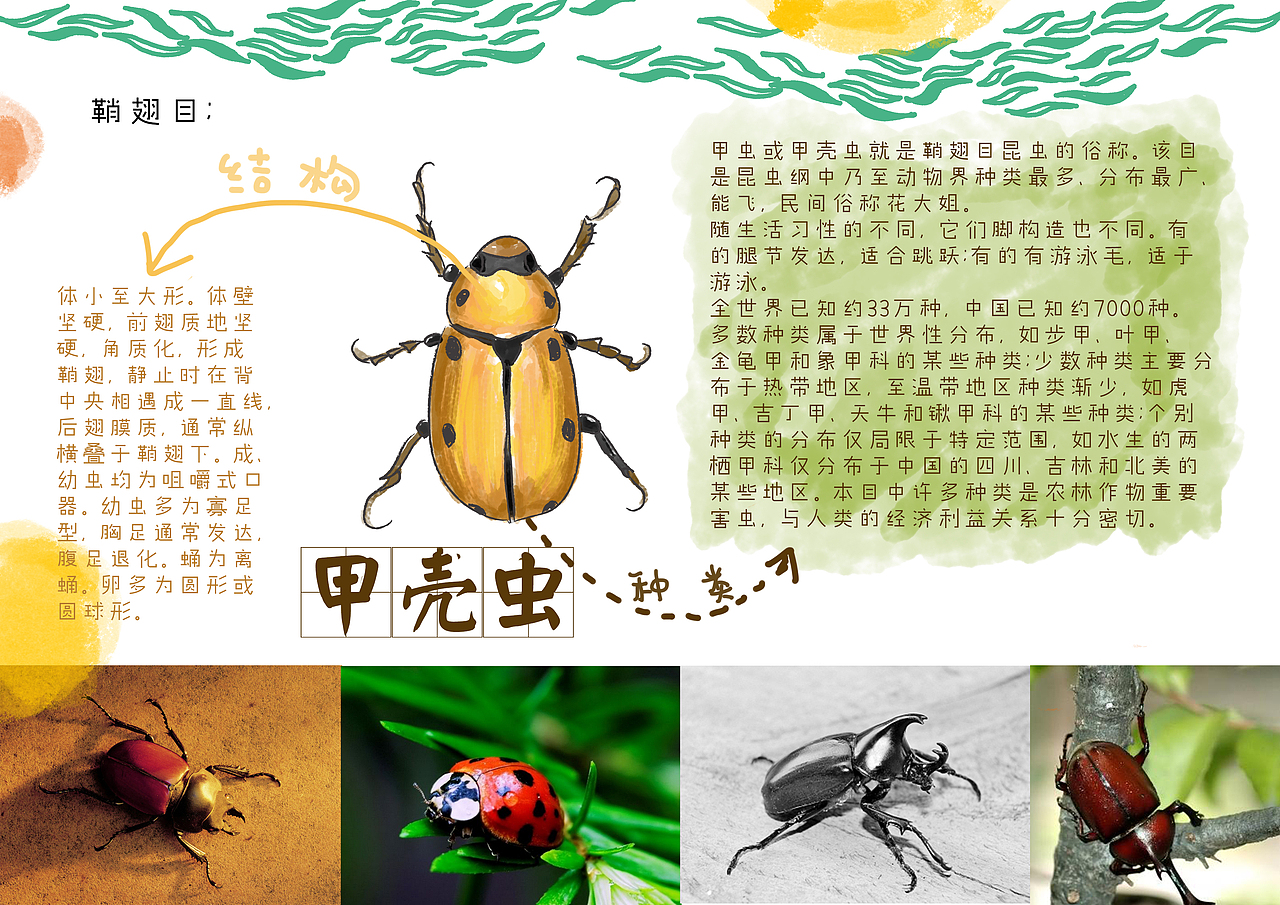 儿童科普类绘本设计