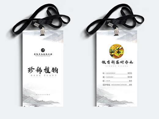 身份号牌