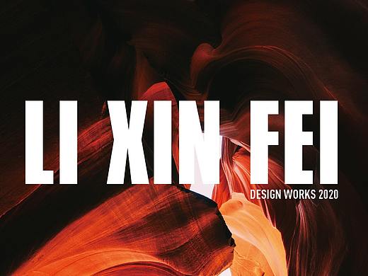 Lixinfei 2020作品集-企业类