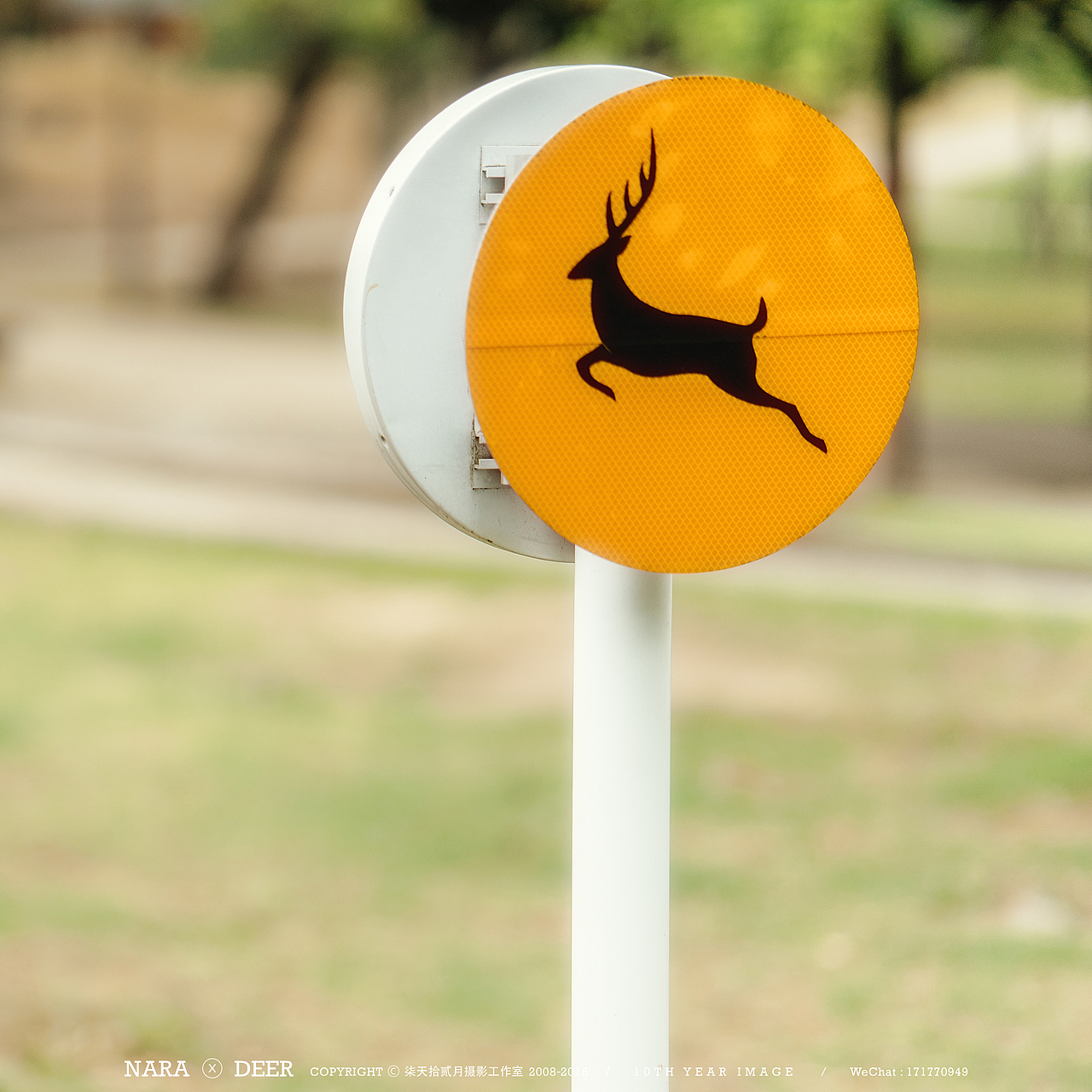 奈良の鹿（图ZMTIwODI4MzIw） - 宠物摄影 - 站酷设计师monkeyivan原创素材 - 站酷ZCOOL