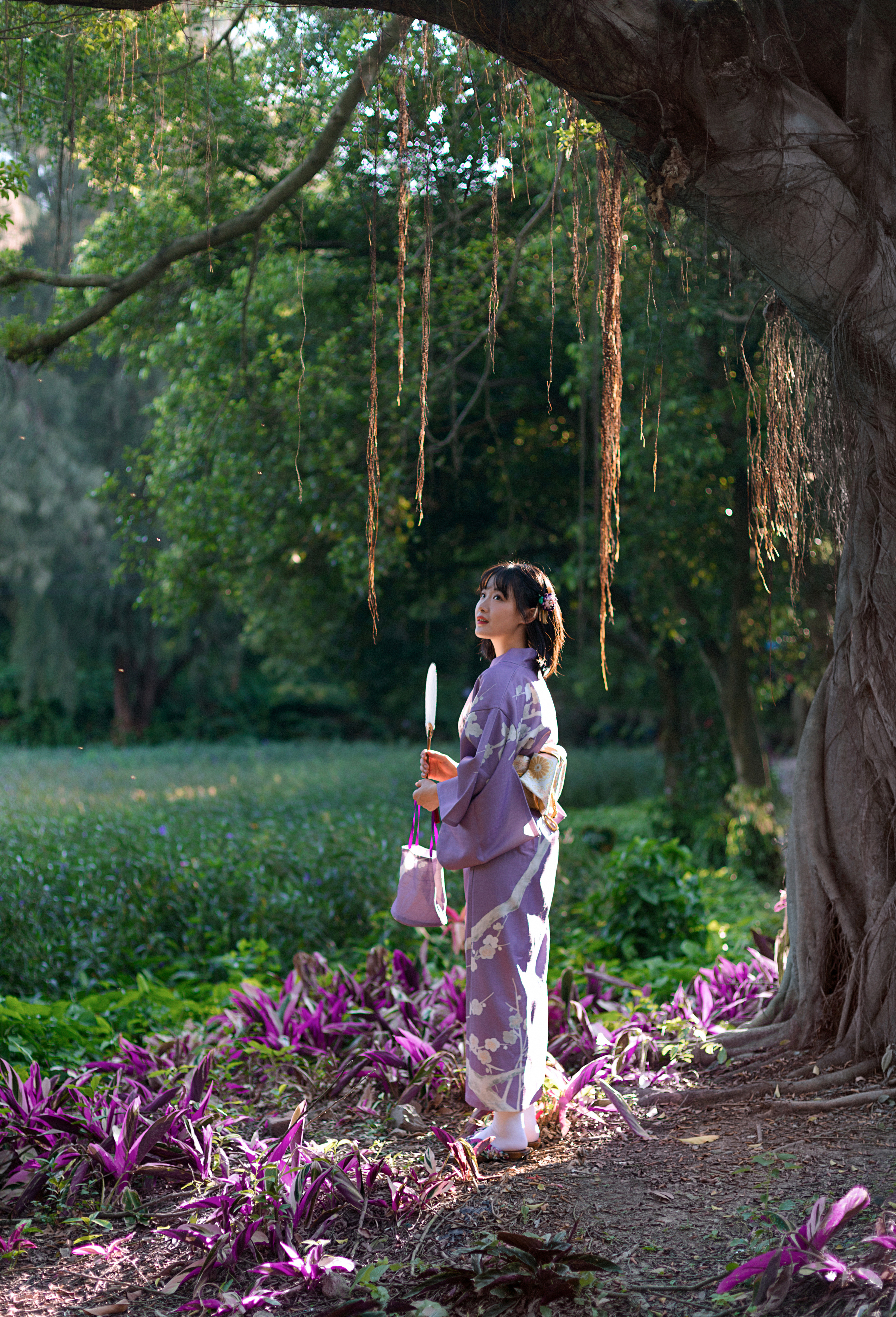 《伊豆的舞女》