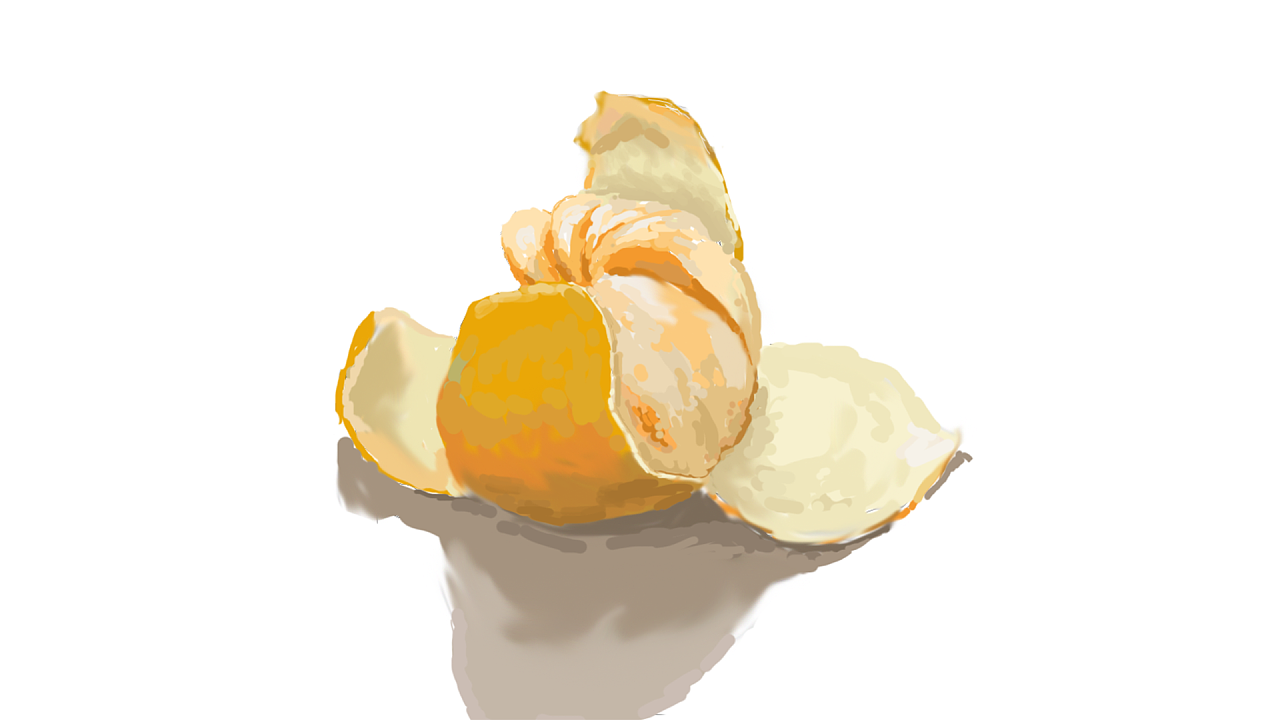 橘子|插画|创作习作|白玉仙 - 原创作品 - 站酷 (zcool)