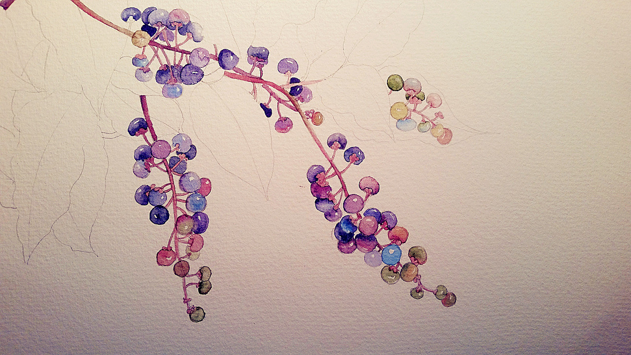 商陆 过程来一个