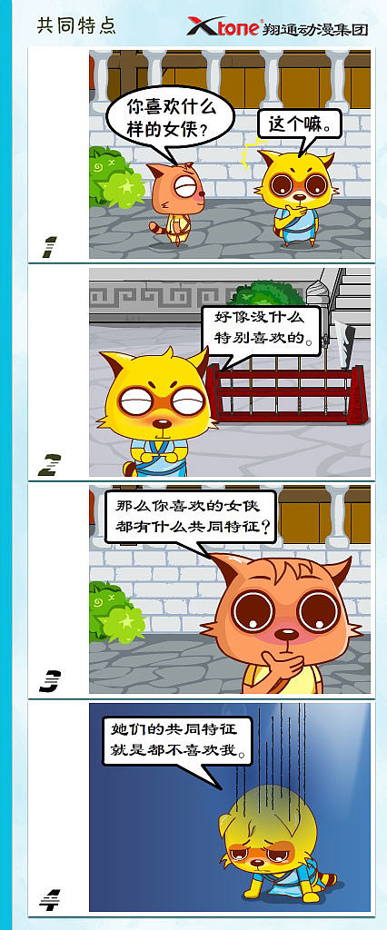 功夫狸猫-共同特点