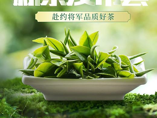 新茶
