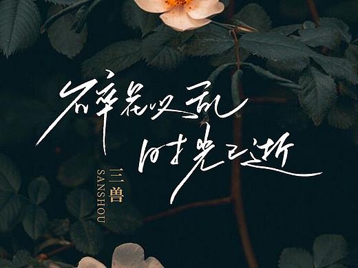 手写字·时光已逝