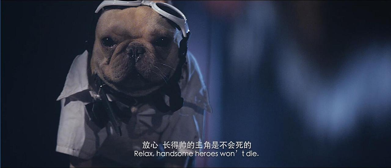 【牧影文化】超能动物联盟