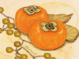 手绘明信片插画打卡