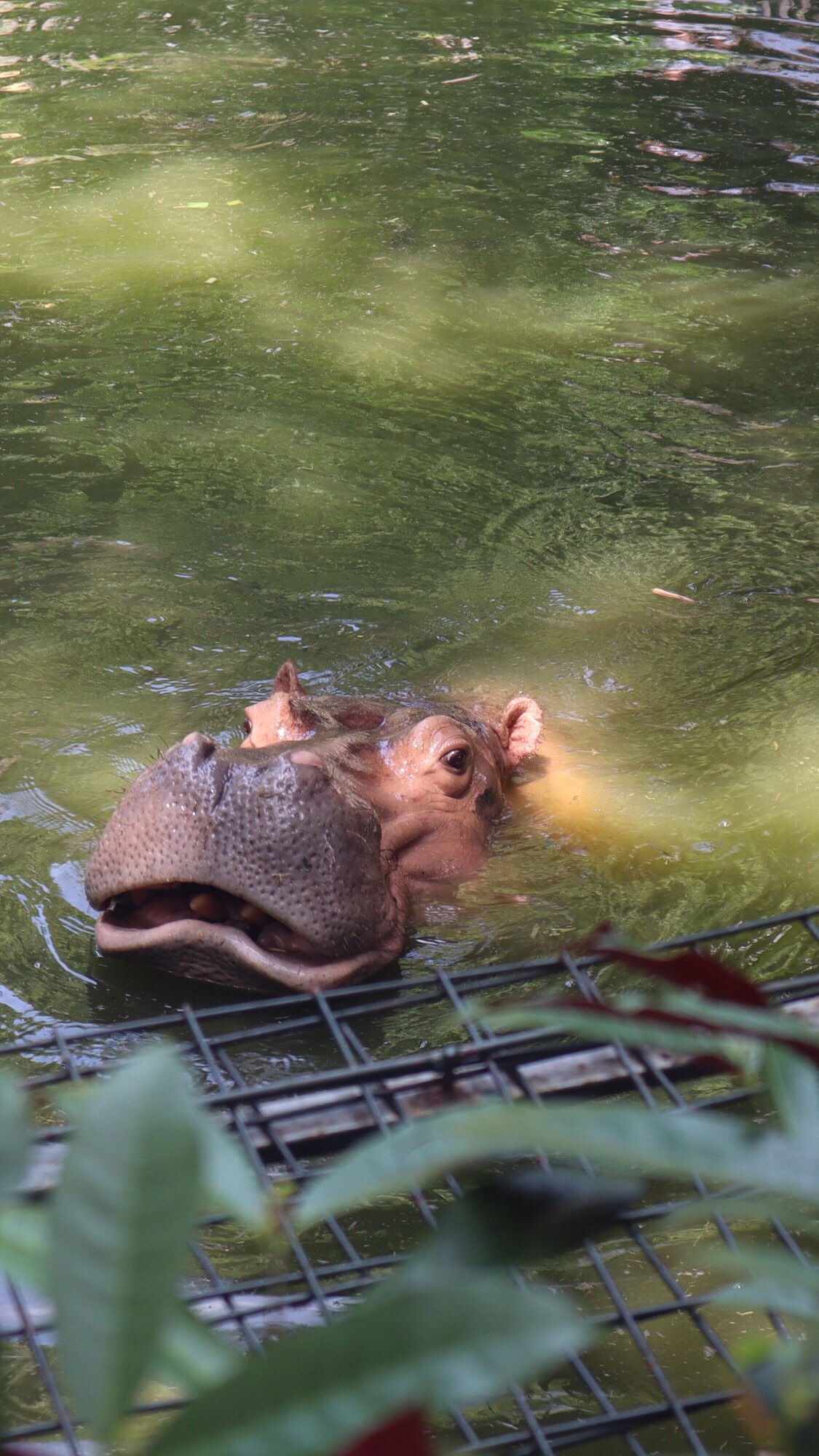 动物园里的他们