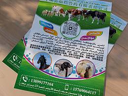畜牧獸醫(yī)宣傳單