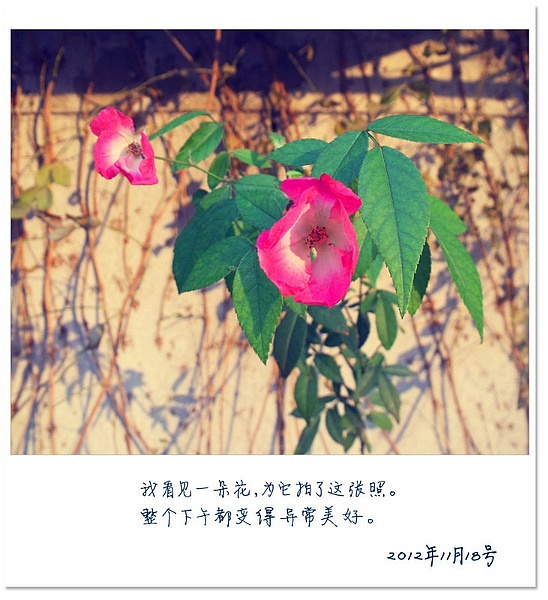 爱好~摄影小卡片（图ZODcwNzg1Mg==） - 其他摄影 - 站酷设计师硬笔淡彩原创素材 - 站酷ZCOOL