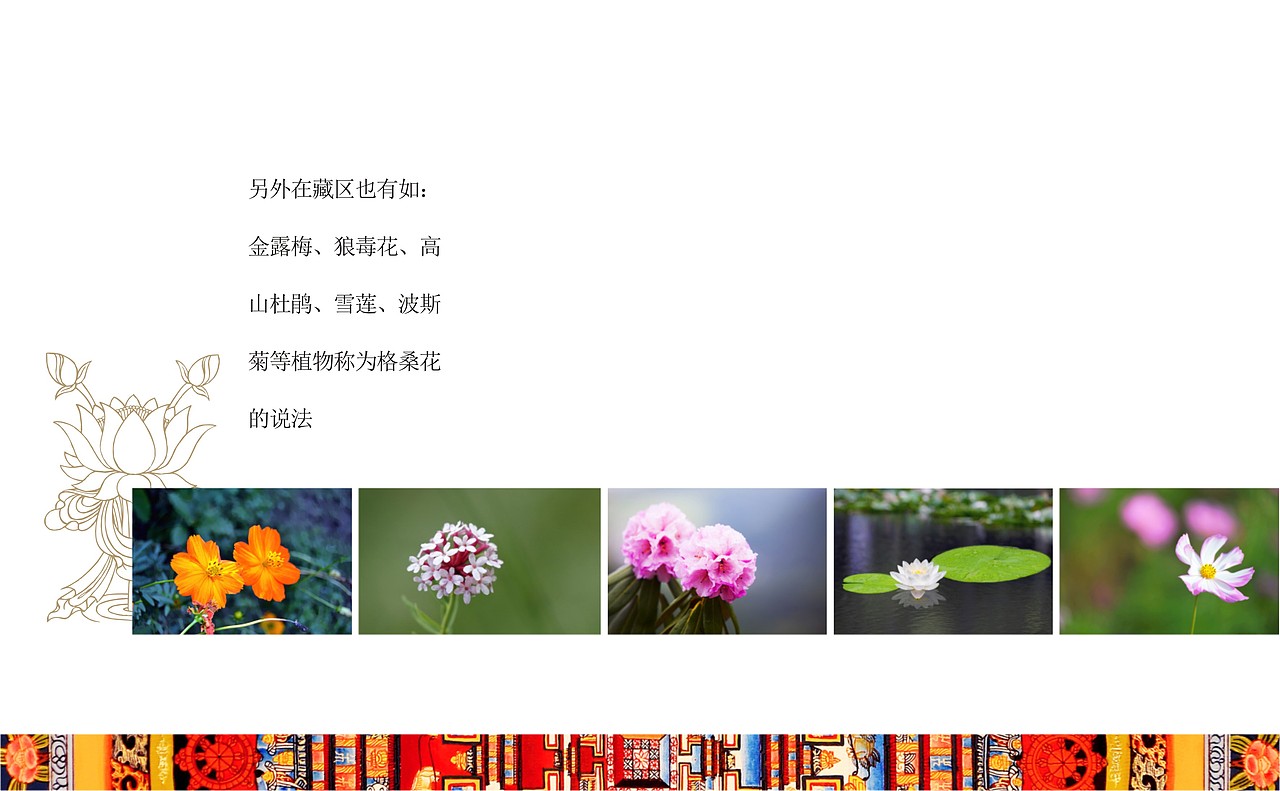 格桑花提案-老何设计-何仕泽