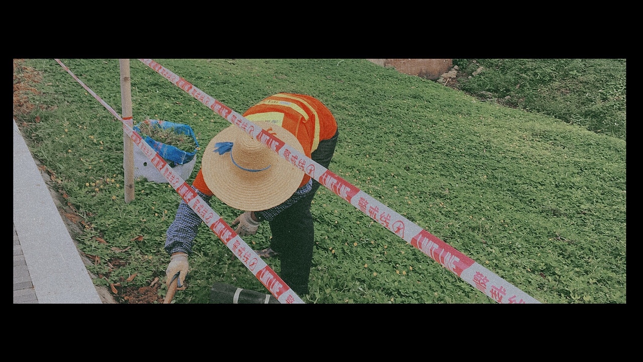 枝头春满，人间皆安🌸