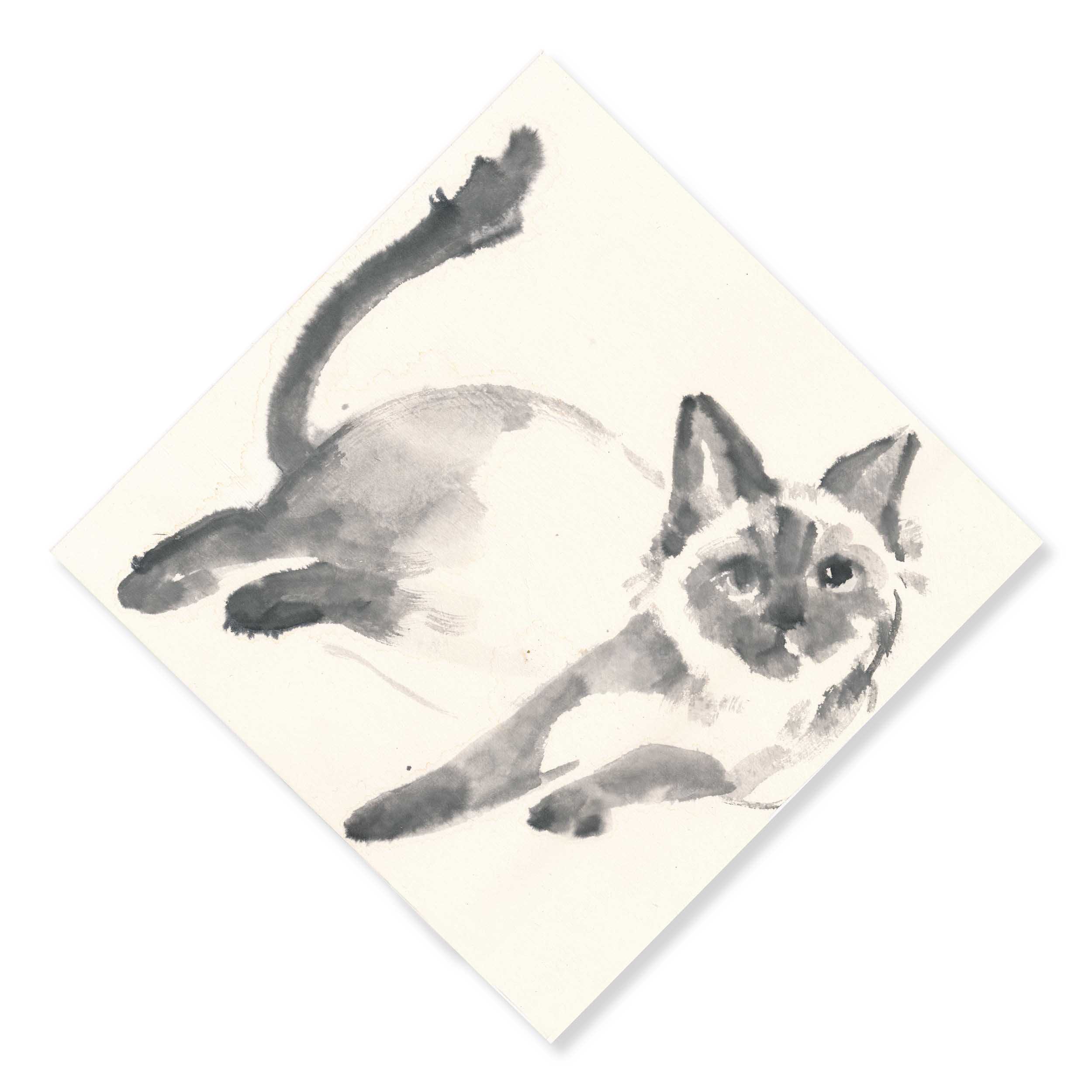 【随笔】九条水墨猫