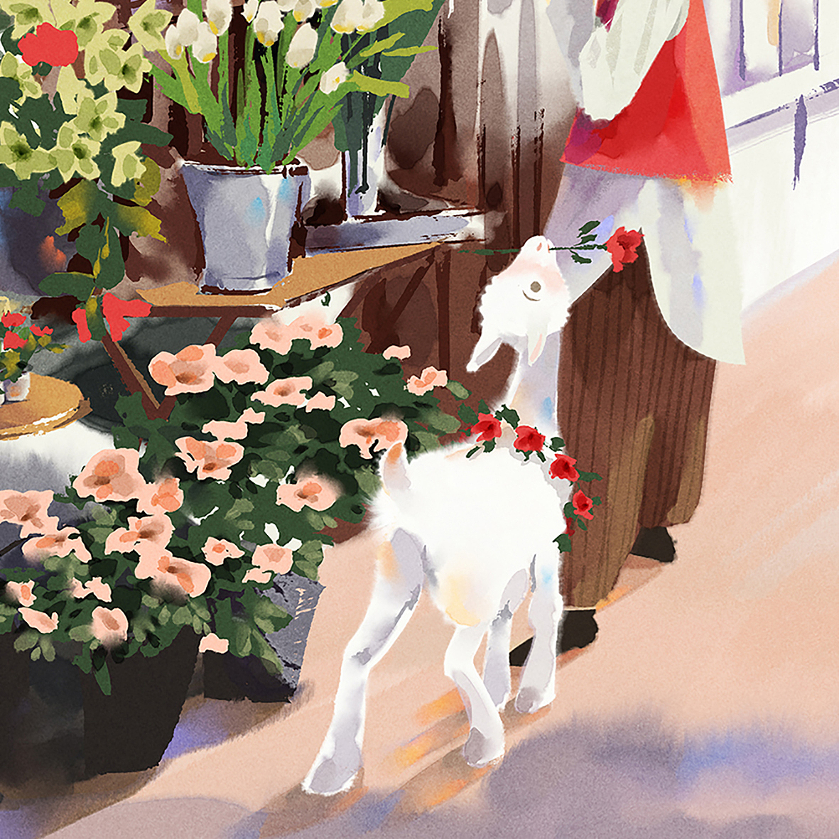 《柔软故事集》