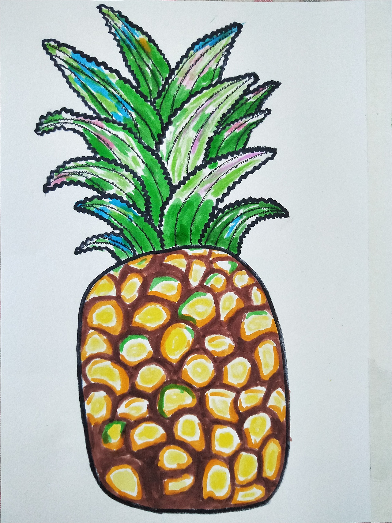 凤梨叶子无锯齿 菠萝叶子有锯齿