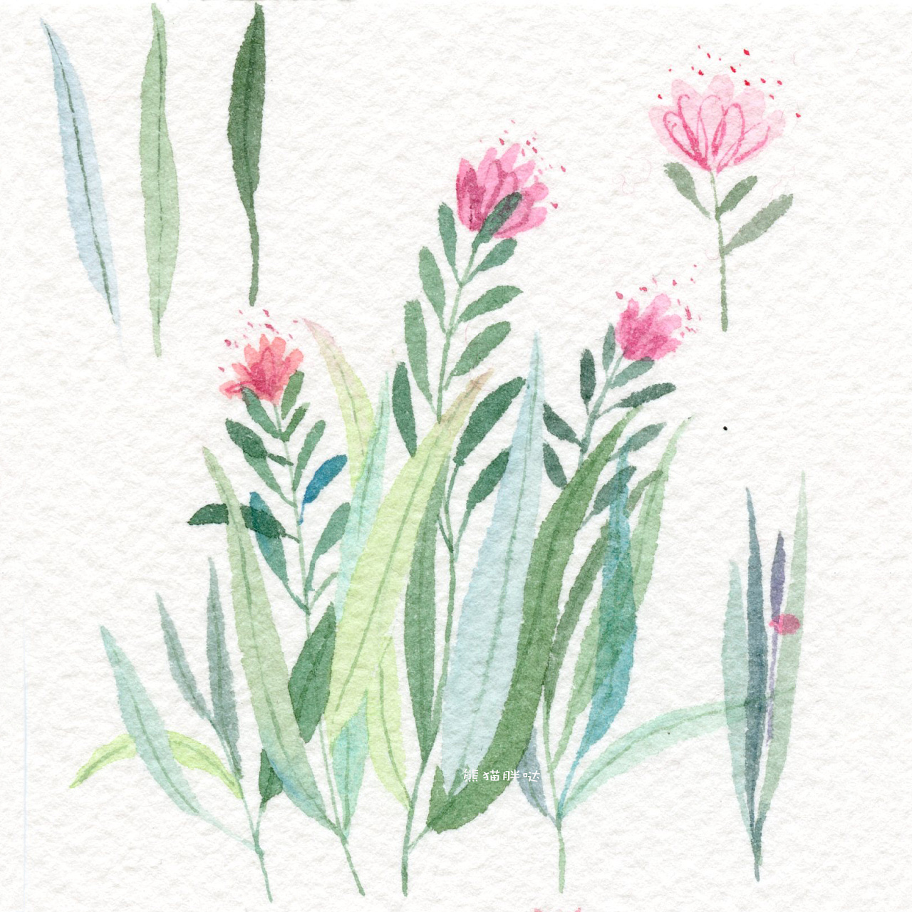 【小熊猫】水彩手绘花卉植物水彩插画教程小清新卡通插画的练成手帐