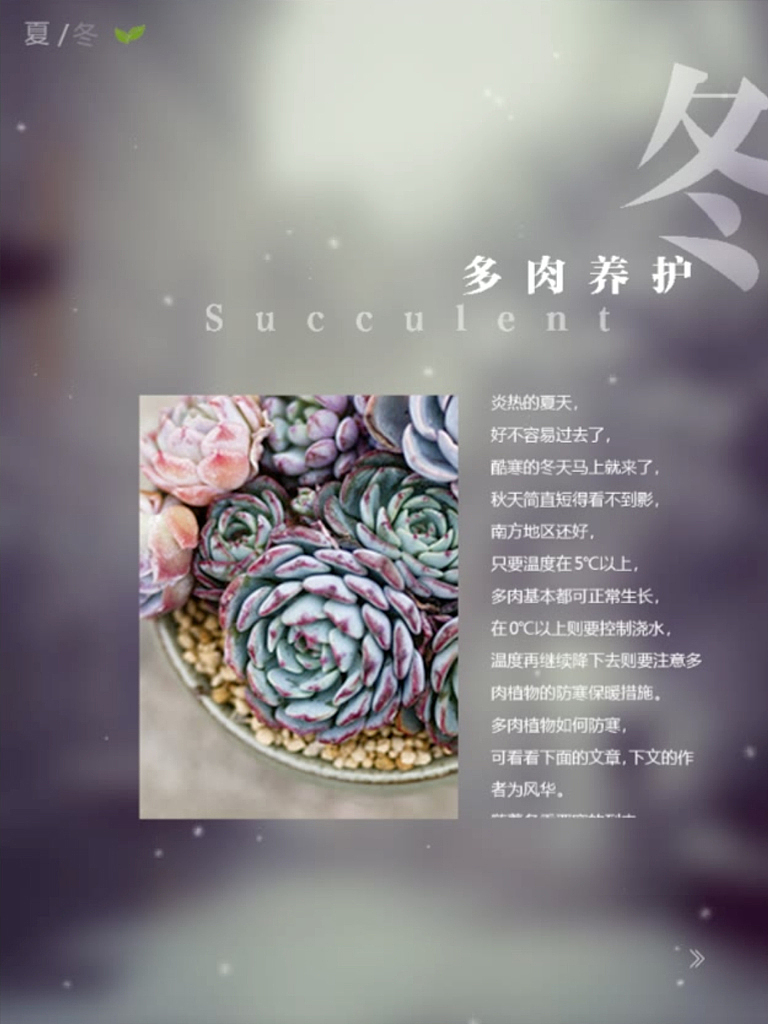 交互式电子书策划、设计与制作