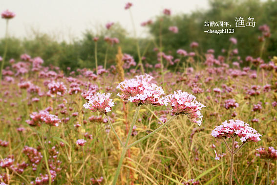 站酷6周年-渔岛（图ZNjk3NjM5Ng==） - 风光摄影 - 站酷设计师石头庙原创素材 - 站酷ZCOOL