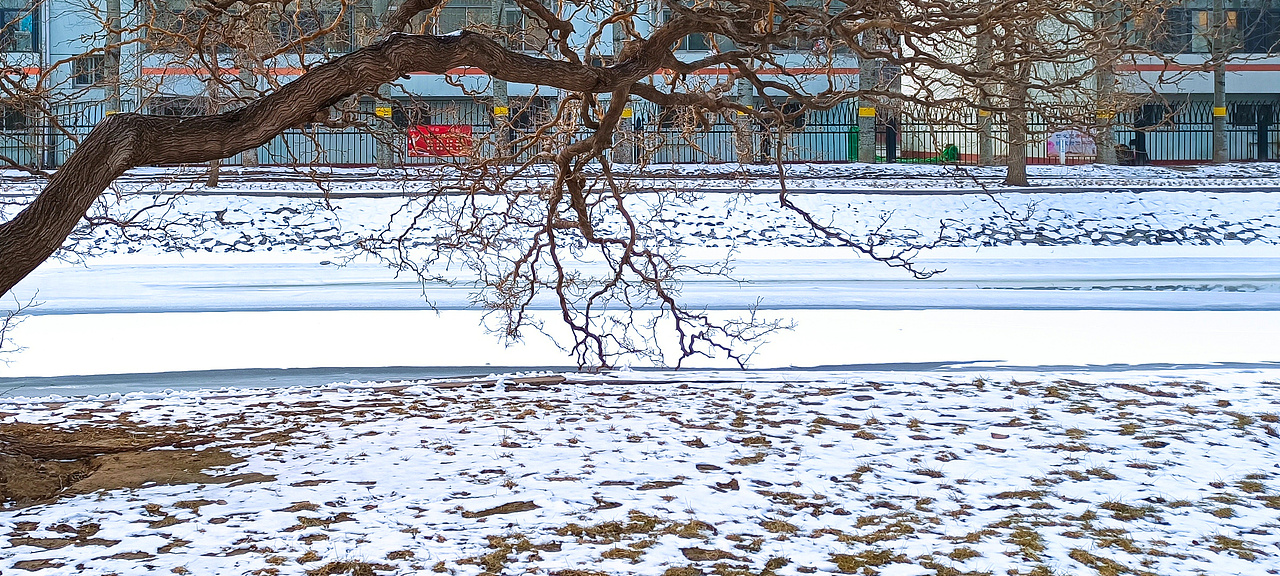 冰雪 树枝（图ZMjg2MzYwODMy） - 风光摄影 - 站酷设计师设计师一大秦原创素材 - 站酷ZCOOL