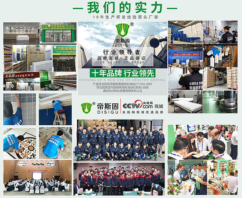 帝斯固美缝剂海报图