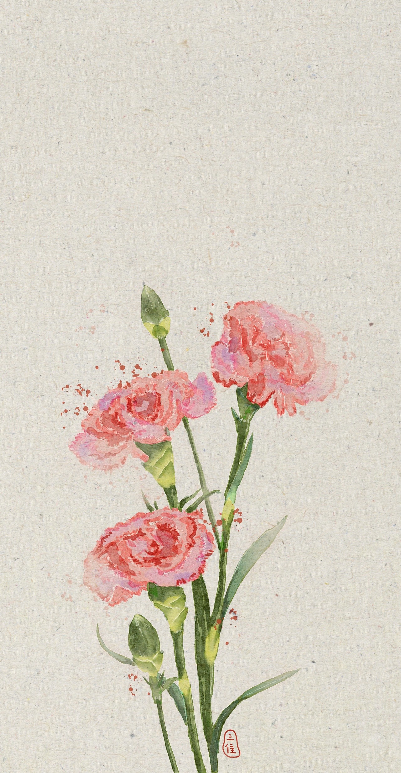 花花 康乃馨（图ZMjA2MTIzNzg4） - 绘画 - 站酷设计师SanZhui三隹原创素材 - 站酷ZCOOL