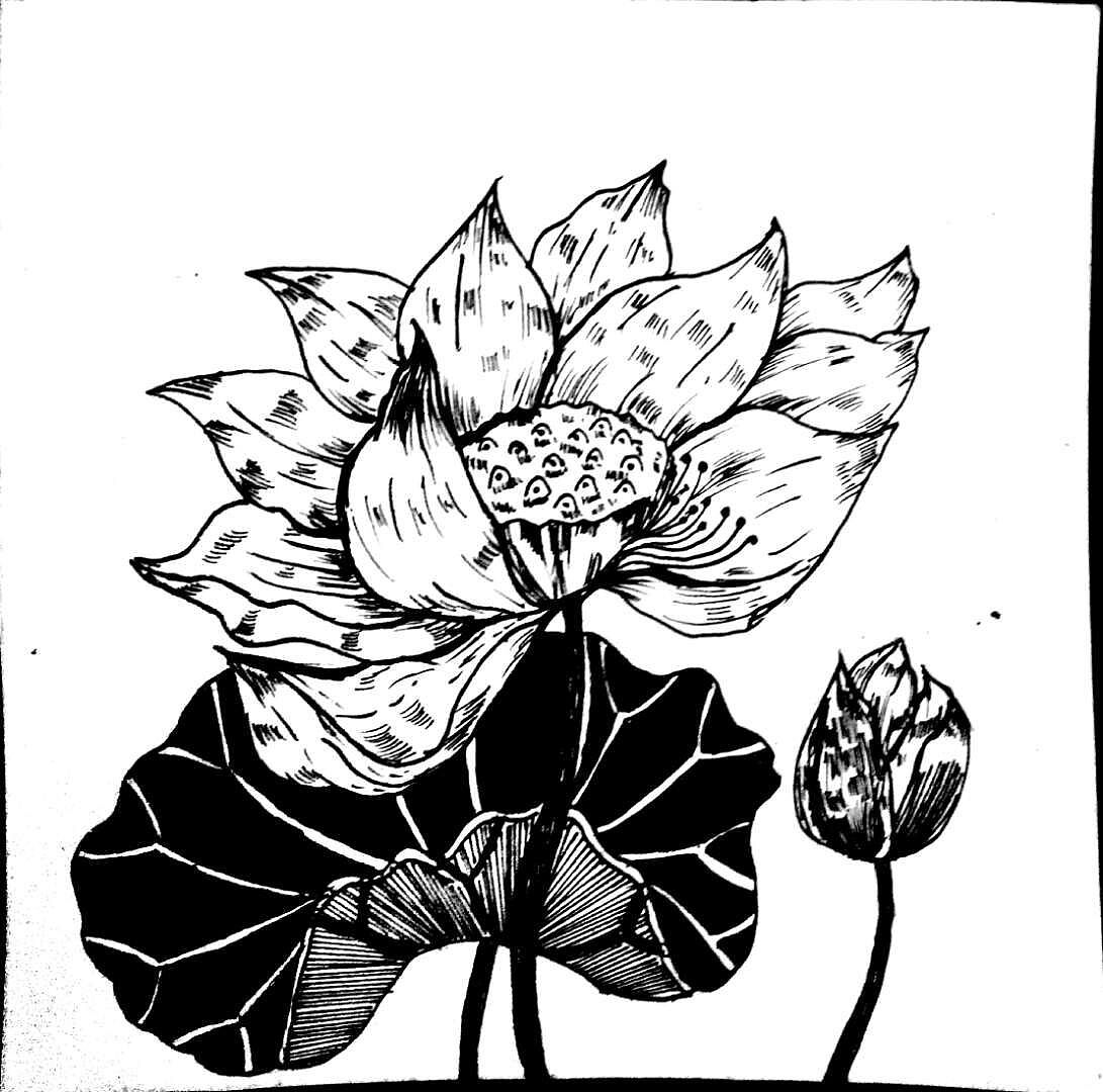 黑白线稿，黑白插画，传统花卉纹样图案--黄小葳|纯艺术|绘画|黄小葳 - 原创作品 - 站酷 (ZCOOL)