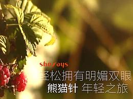 項(xiàng)目視頻/熊貓針