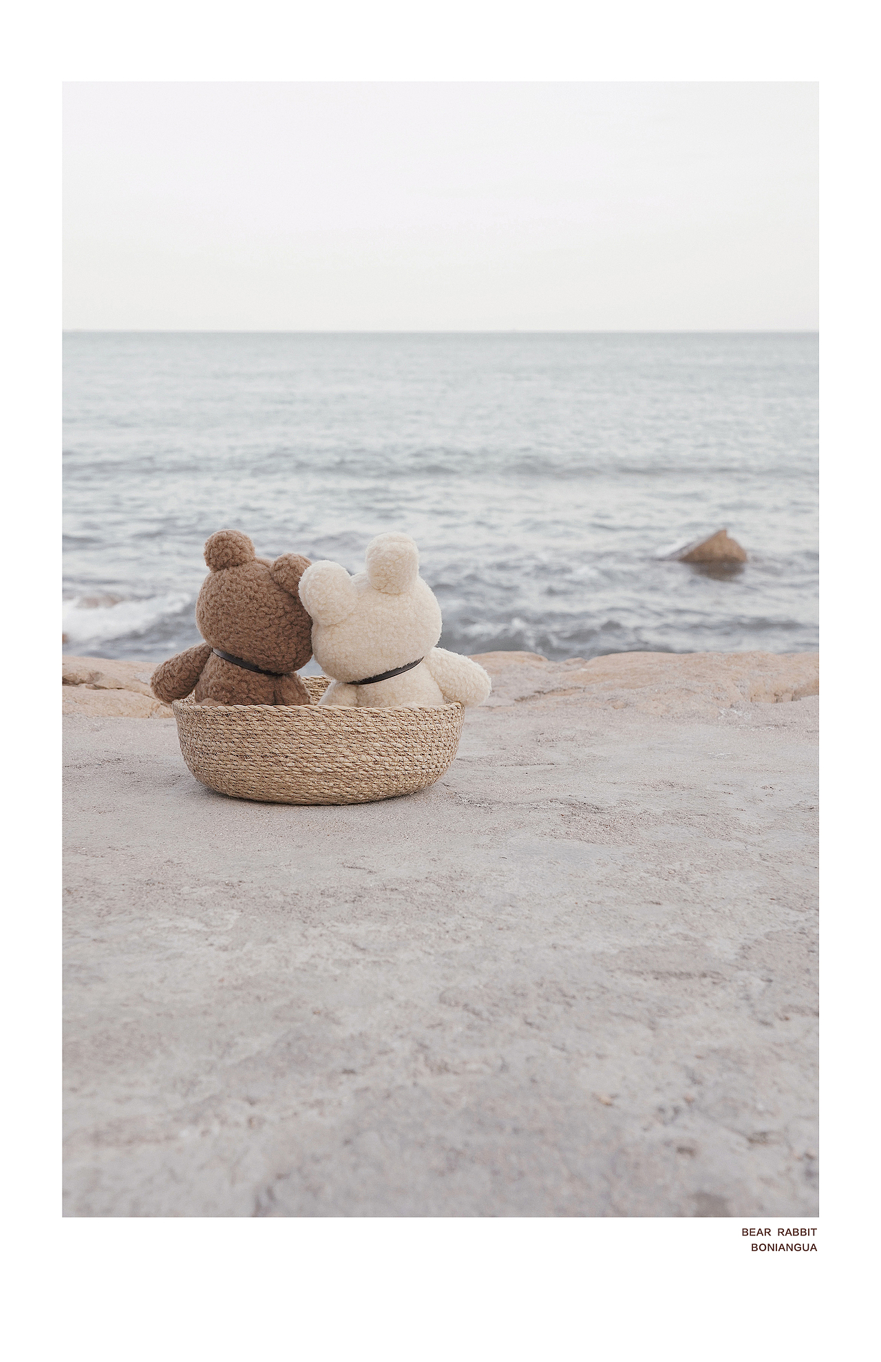 亲爱的布偶 / 青岛