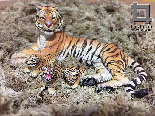 动物模型 -萌虎仨兄弟-涂装展示